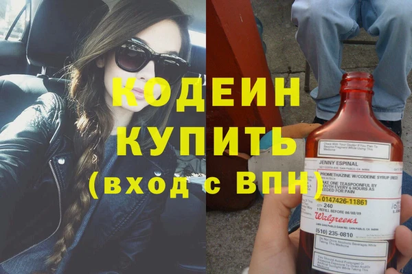 прущие грибы Козельск