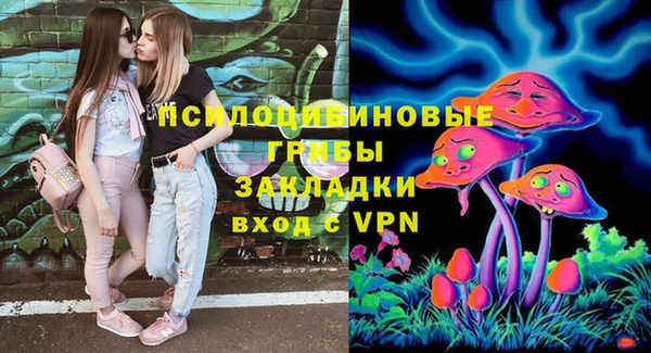 твердый Кодинск