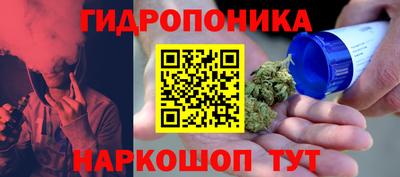 метадон Гусь-Хрустальный