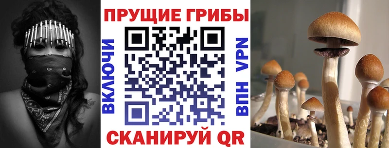 Псилоцибиновые грибы прущие грибы  Новочеркасск 