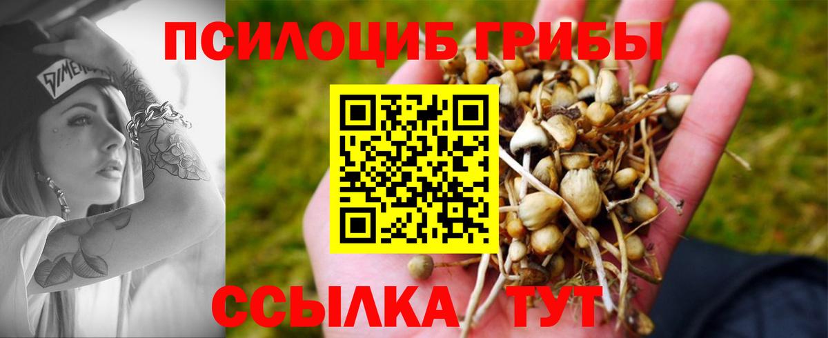 Галлюциногенные грибы Cubensis Новочеркасск