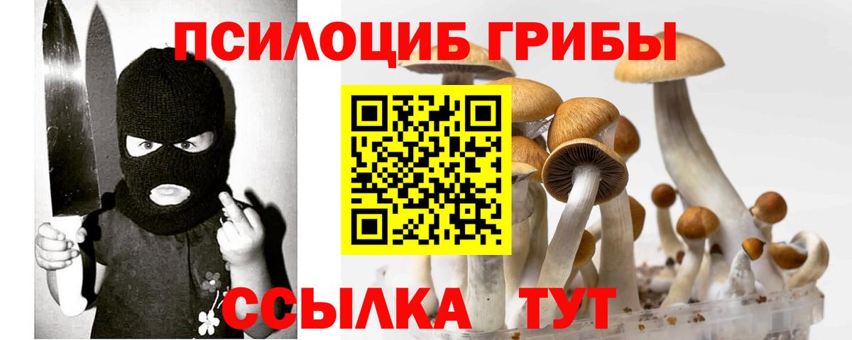 Галлюциногенные грибы Psilocybine cubensis  Вход с VPN  Псилоцибиновые грибы прущие грибы  Новочеркасск 